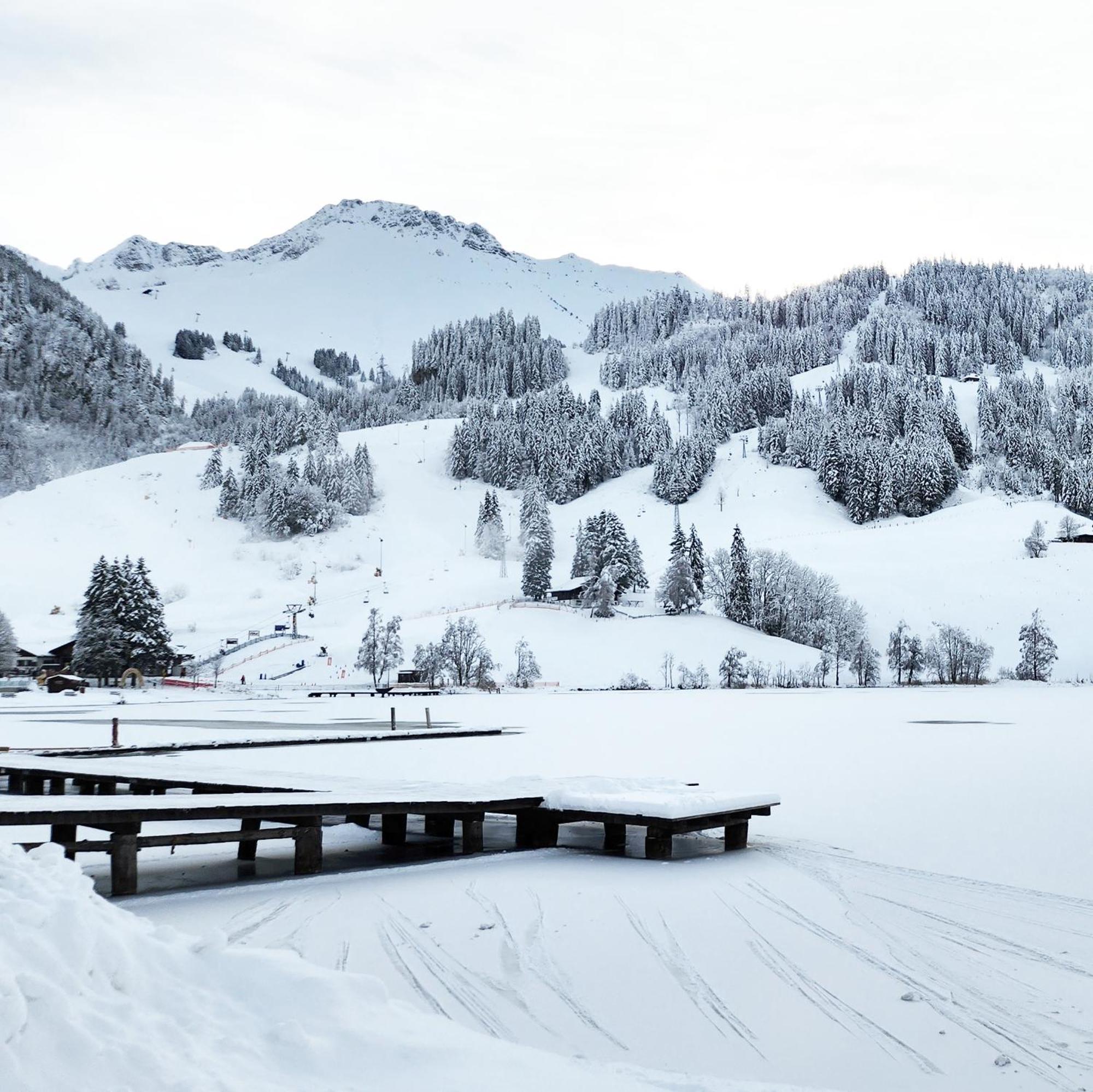 Pension Fein & Sein Bad-Schwarzsee エクステリア 写真