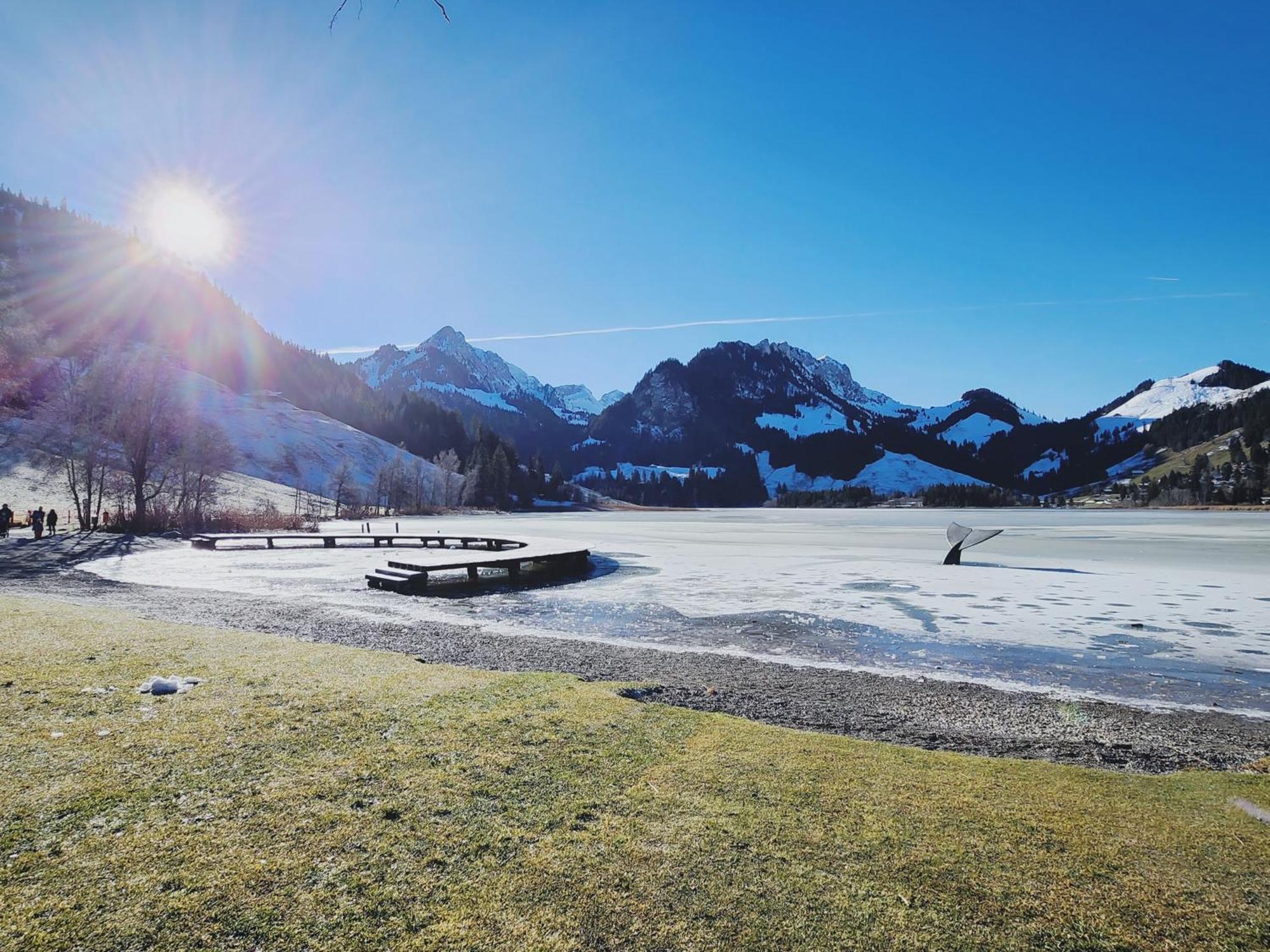 Pension Fein & Sein Bad-Schwarzsee エクステリア 写真