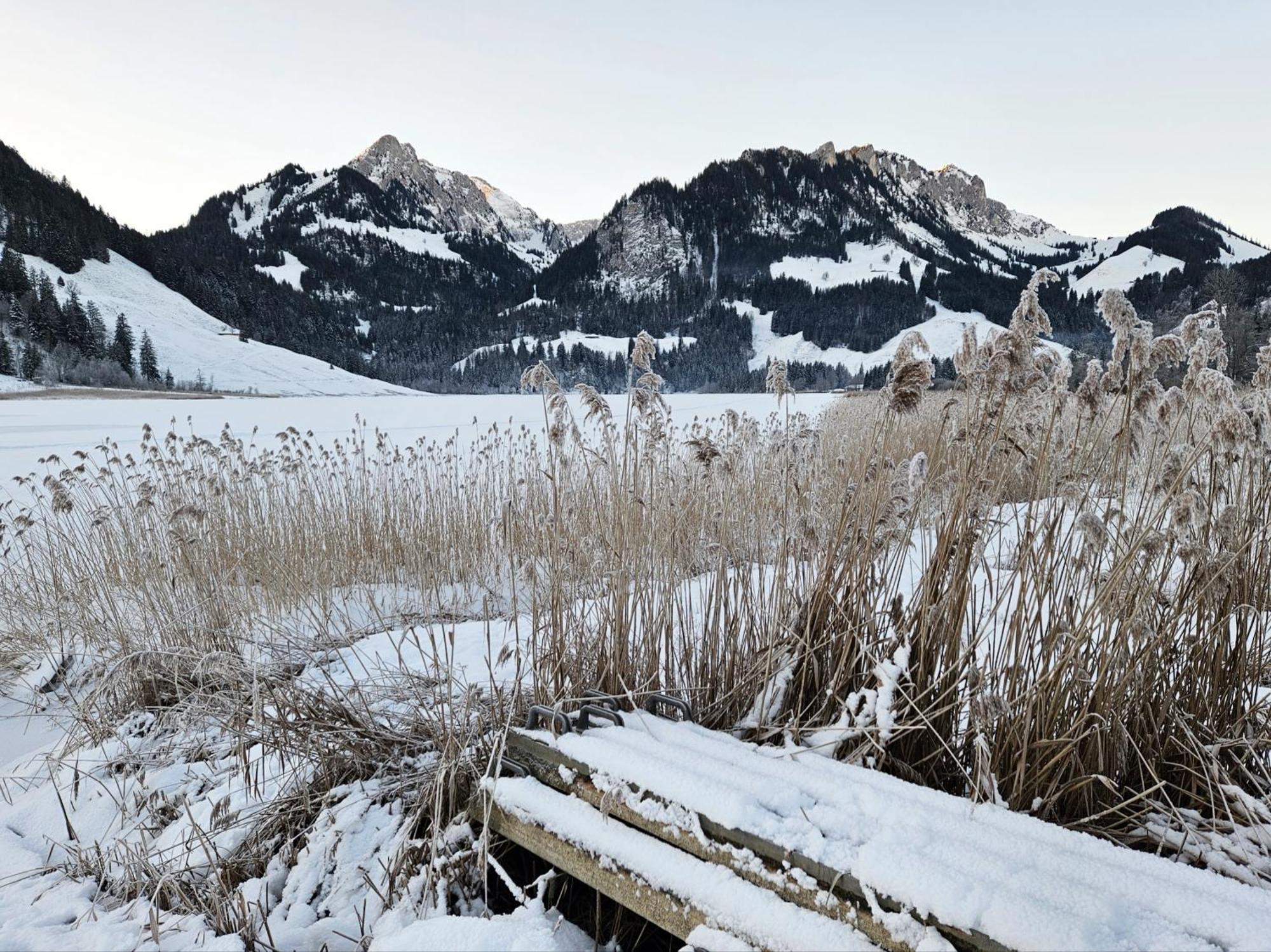Pension Fein & Sein Bad-Schwarzsee エクステリア 写真